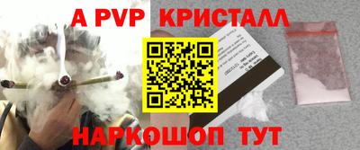 стафф Тверь