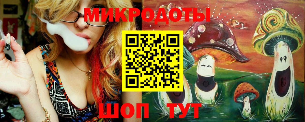 Муравленко  Псилоцибиновые грибы Magic Shrooms  Галлюциногенные грибы Psilocybine cubensis  Вход с VPN 