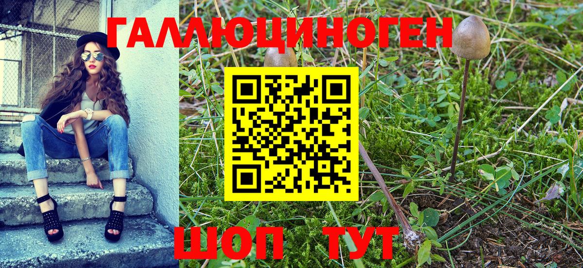 Псилоцибиновые грибы ЛСД Муравленко